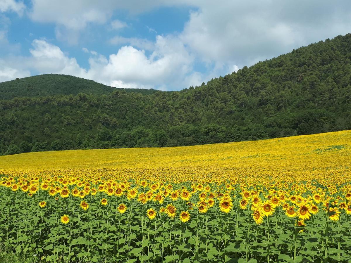 Il Girasole Del Lago Piediluco Exteriér fotografie